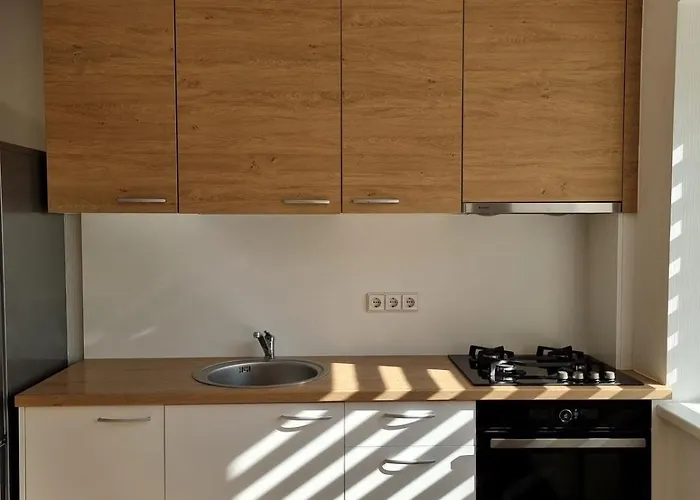 Vytautas アパート カウナス